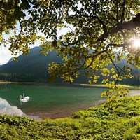 Rodinná dovolená ve Wagrainu (S) - ckmarcopolo.cz