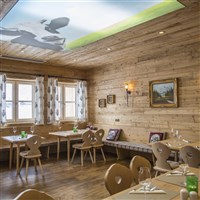 COOEE alpin Hotel Dachstein (W) - ckmarcopolo.cz