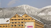 COOEE alpin Hotel Dachstein ***