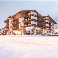 Hotel Der Tirolerhof (W) - ckmarcopolo.cz