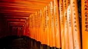 Japonsko za zrcadlem - za skrytými krásami s českým průvodcem