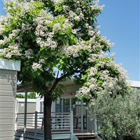 Garda Village - ckmarcopolo.cz