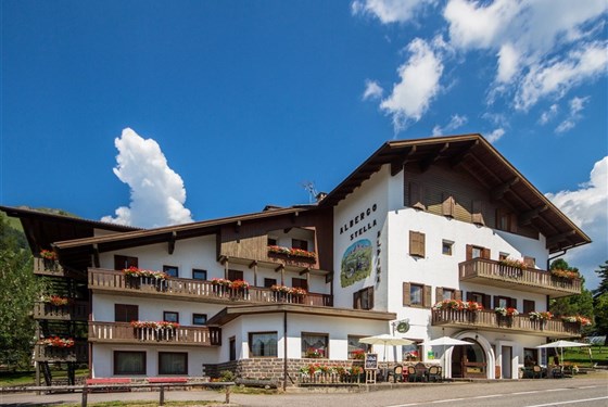Marco Polo - Hotel Stella Alpina & Park Hotel Sancelso (Léto/Sommer) - 