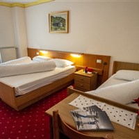 Hotel Stella Alpina (Léto/Sommer) - ckmarcopolo.cz