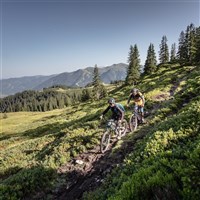 Hotel Alpina (S) - ckmarcopolo.cz