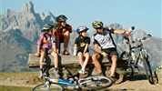 Natur & Familienhotel Der Stieglerhof ***