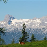 Berghof Tauplitzalm (S) - ckmarcopolo.cz