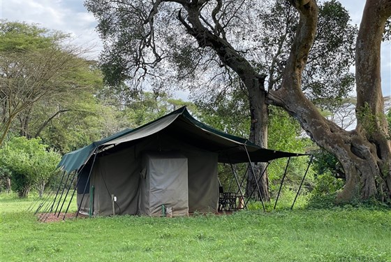 Marco Polo - Adventure Base Camp 3* plus - Keňa_Adventure Base Camp_Masai Mara_