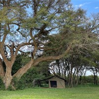 Adventure Base Camp 3* plus - Keňa_Adventure Base Camp_Masai Mara_ - ckmarcopolo.cz