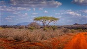 Tři národní parky - tři odlišné tváře safari  (Amboseli, Tsavo West a Tsavo East) - český průvodce