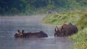 Neuvěřitelný Nepál - starobylé Káthmándú, divoký Chitwan a trek himalájskými údolími