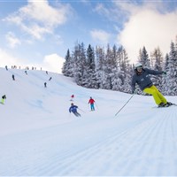 COOEE alpin Hotel Bad Kleinkirchheim (W) - ckmarcopolo.cz