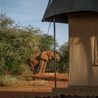 Tulia Amboseli Safari Camp - 4* - ckmarcopolo.cz