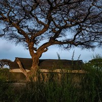 Tulia Amboseli Safari Camp - 4* - ckmarcopolo.cz