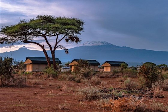 Marco Polo - Tulia Amboseli Safari Camp - 4* - 
