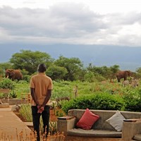 Tulia Amboseli Safari Camp - 4* - ckmarcopolo.cz