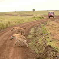 Mara Engai Wilderness Lodge 5* - Kena_Safari_Masai Mara_Mara Engei - ckmarcopolo.cz