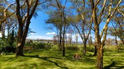 Aktivní Keňa s českým průvodcem - Keňa_Lake Naivasha_Crescent Camp