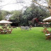 Lake Naivasha Country Club 4* - ckmarcopolo.cz