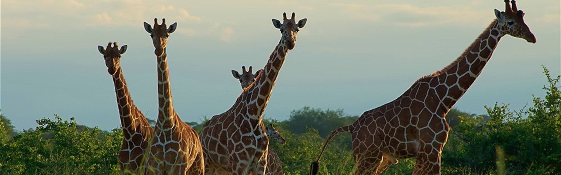 Netradiční okruh Keňou na sever od Nairobi - 