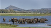 Srí Lanka - velký okruh s průvodcem a  pobytem u moře - 11 dní