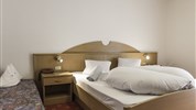 Hotel Adler***