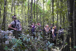 Uganda-Kibale-Forest Kibale (Kibale Forest) - 6