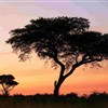 Uganda-Semuliki