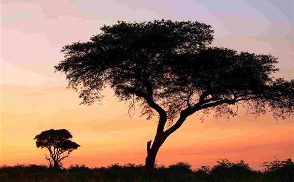Marco Polo - Které safari parky v Africe jsou pro rok 2023 nejlepší?