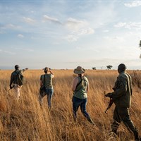 Oliver´s Camp Tarangire - Tanzanie-Oliver-s-Camp - ckmarcopolo.cz