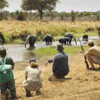 Oliver´s Camp Tarangire - Tanzanie-Oliver-s-Camp - ckmarcopolo.cz