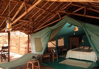 Výlet od moře na safari - NP Tsavo East - 3 dny