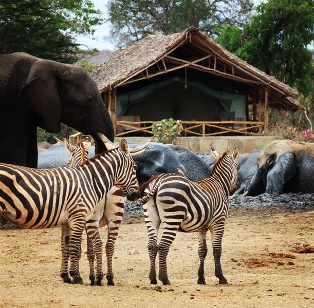 Výlet od moře na safari - NP Tsavo East - 3 dny - Keňa_Tsavo East_Satao Camp