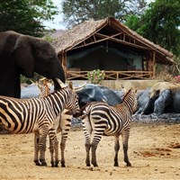 Satao Camp Tsavo East - Keňa_Tsavo East_Satao Camp - ckmarcopolo.cz