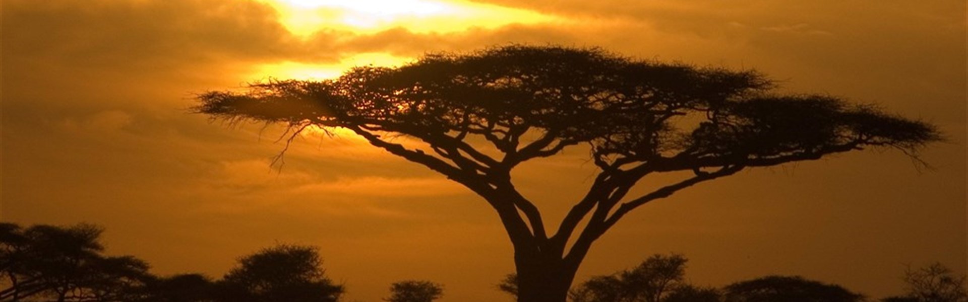 Tanzanie -safari a Zanzibar - Tanzanie-Serengeti-zapad-slunce