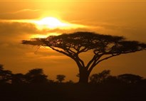 Tanzanie-Serengeti-zapad-slunce