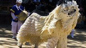 10 dní Jižní Koreou v barvách podzimu