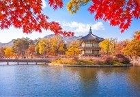 10 dní Jižní Koreou v barvách podzimu