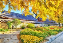 10 dní Jižní Koreou v barvách podzimu