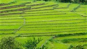 Golf v Thajsku - zajímavá kombinace Bangkok a Chiang Mai - Thajsko_CHaing Mai_