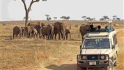 Luxusní safari v Tanzanii - Tarangire, Ngorongoro, Serengeti a pobyt u moře na Zanizibaru - Tanzanie_Tarangire_sloni a auto
