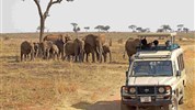 Tanzanie: Safari v Tarangire a kráter Ngorongoro - Tanzanie_Tarangire_sloni a auto