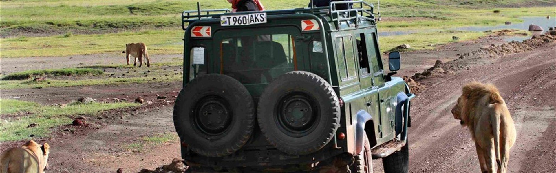 Ráj slonů v Tarangire a úchvatný kráter Ngorongoro a pobyt na Zanzibaru - Tanzanie_Ngorongoro