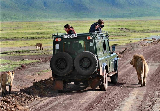 Tanzanie: Safari v Tarangire a kráter Ngorongoro - Tarangire - Tanzanie_Ngorongoro