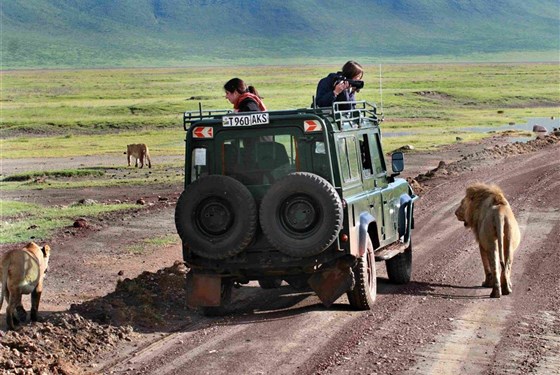 Marco Polo - Lemala Ngorongoro Tented Camp 5* - Tanzanie_Ngorongoro