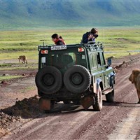Lemala Ngorongoro Tented Camp 5* - Tanzanie_Ngorongoro - ckmarcopolo.cz