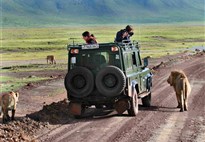 Tanzanie_Ngorongoro