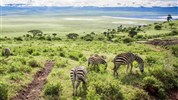 Luxusní safari v Tanzanii - Tarangire, Ngorongoro, Serengeti a pobyt u moře na Zanizibaru - Tanzanie_Ngorongoro_zebry