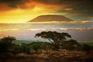  Amboseli - 3