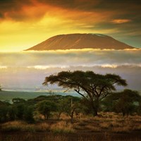 Amboseli Serena Lodge 4* - Keňa_Amboseli_Serena Lodge - www.marco-polo.cz
